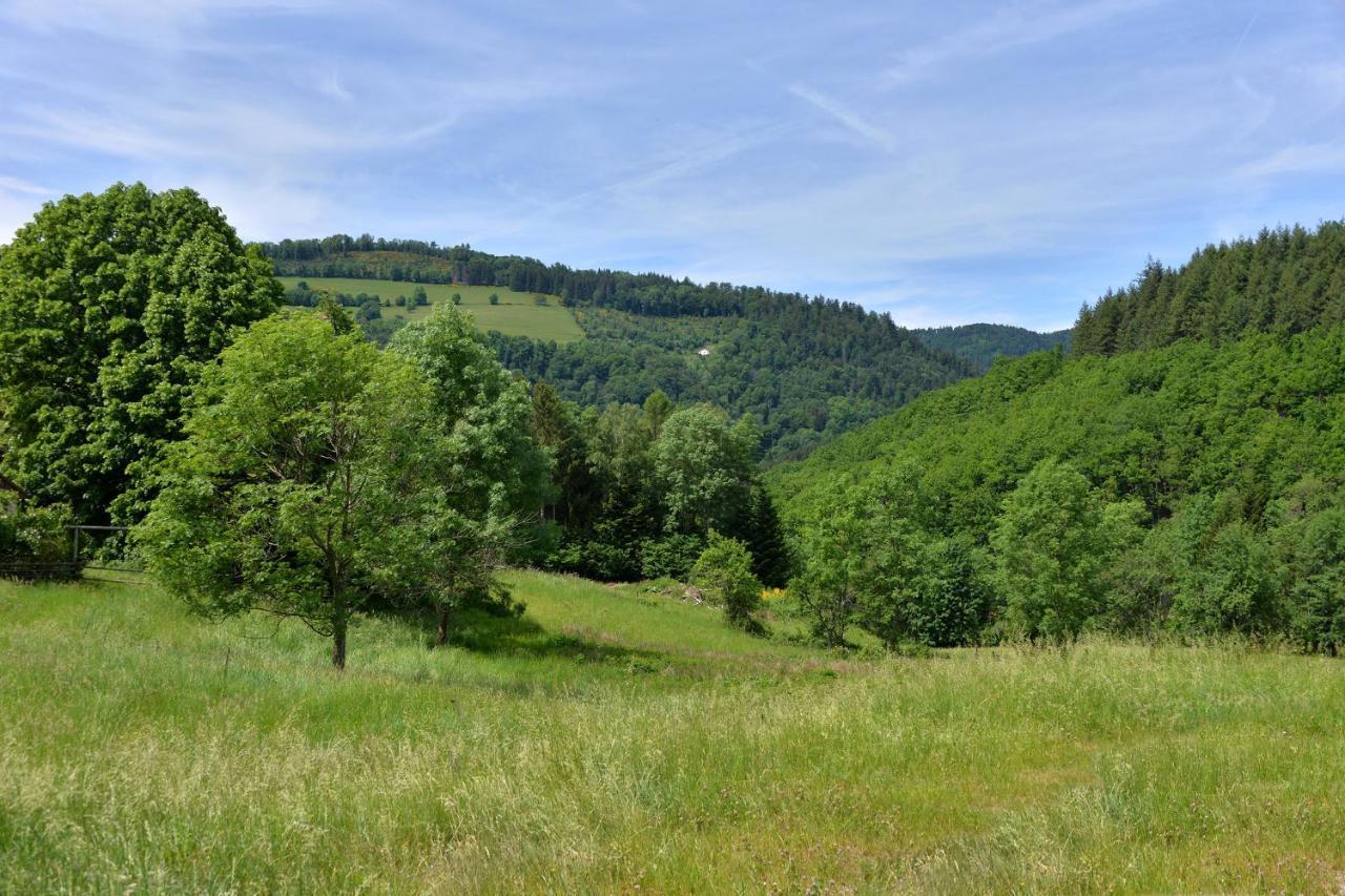 Gite De La Chapelle Des Mineurs Sainte-Marie-aux-Mines Exterior foto